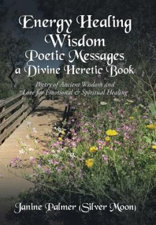 Kniha Energy Healing Wisdom-Poetic Messages a Divine Heretic Book Janine Palmer (Silver Moon)