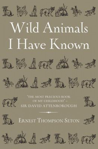 Knjiga Wild Animals I Have Known Ernest Thompson Seton