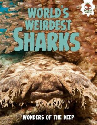 Kniha Shark! World's Weirdest Sharks Paul Mason