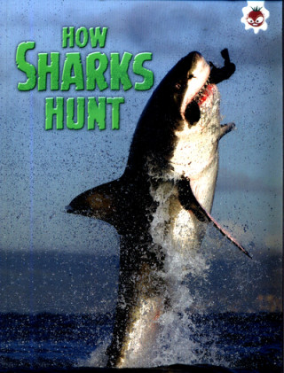 Carte Shark! How Sharks Hunt Paul Mason