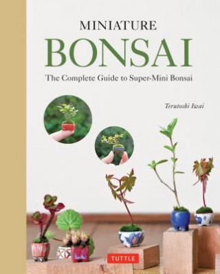 Kniha Miniature Bonsai Terutoshi Iwai