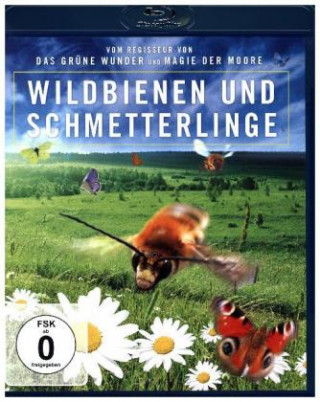 Video Wildbienen und Schmetterlinge Jan Haft