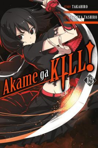 Kniha Akame ga Kill!, Vol. 13 Takahiro