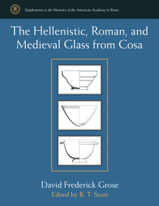 Könyv Hellenistic, Roman, and Medieval Glass from Cosa David Frederick Grose