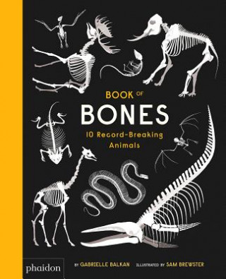 Kniha Book of Bones: 10 Record-Breaking Animals Gabrielle Balkan