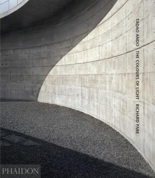 Carte Tadao Ando: The Colours of Light Volume 1 Richard Pare