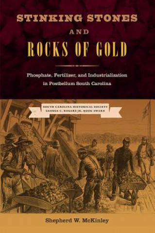 Kniha Stinking Stones and Rocks of Gold Shepherd W. McKinley