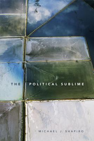 Könyv Political Sublime Michael J. Shapiro