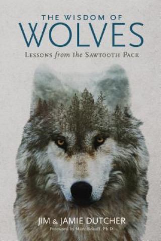 Książka Wisdom of Wolves Jim Dutcher