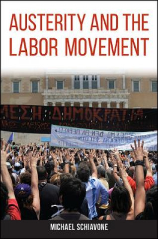 Book Austerity and the Labor Movement Michael Schiavone