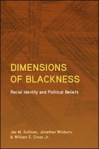 Book Meaning-Making, Internalized Racism, and African American Identity Jas M. Sullivan