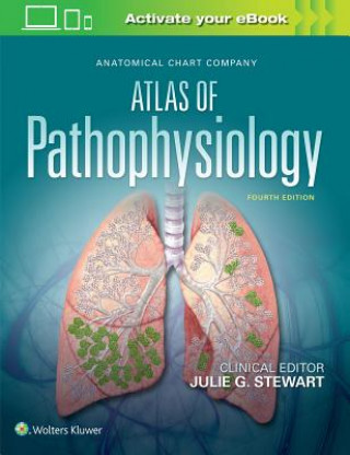 Carte Anatomical Chart Company Atlas of Pathophysiology Julie Stewart