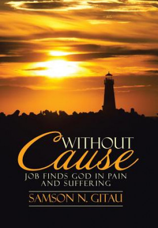 Knjiga Without Cause Samson N. Gitau