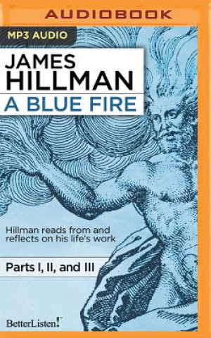 Audio BLUE FIRE                    M James Hillman