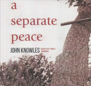 Audio SEPARATE PEACE              5D John Knowles