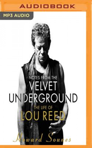Audio Notes from the Velvet Underground Howard Sounes