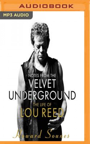 Аудио Notes from the Velvet Underground Howard Sounes