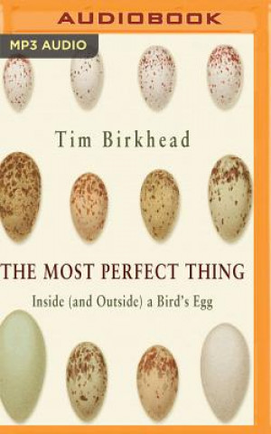 Hanganyagok The Most Perfect Thing Tim Birkhead