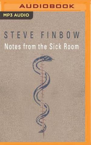 Audio Notes from the Sick Room Steve Finbow