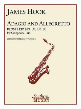 Kniha ADAGIO & ALLEGRETTO James Hook