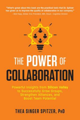 Kniha Power of Collaboration Thea Singer Spitzer