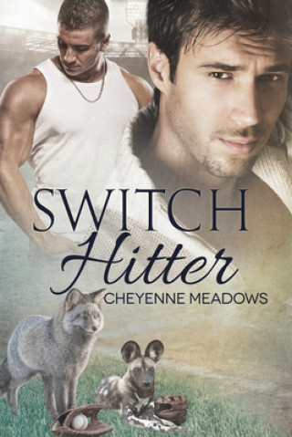 Kniha Switch Hitter Cheyenne Meadows