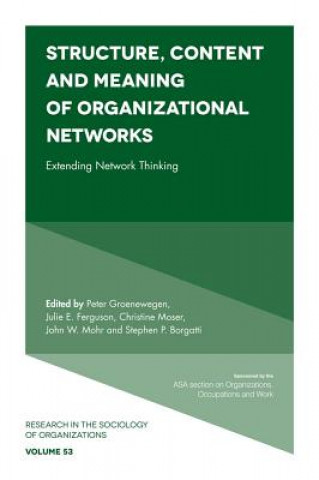 Książka Structure, Content and Meaning of Organizational Networks Peter Groenewegen