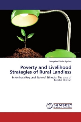 Knjiga Poverty and Livelihood Strategies of Rural Landless Mezgebu Werku Ayalew