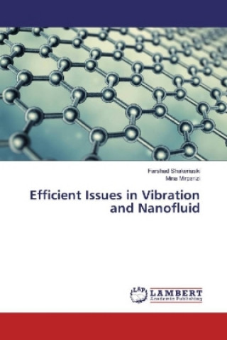 Carte Efficient Issues in Vibration and Nanofluid Farshad Shakeriaski