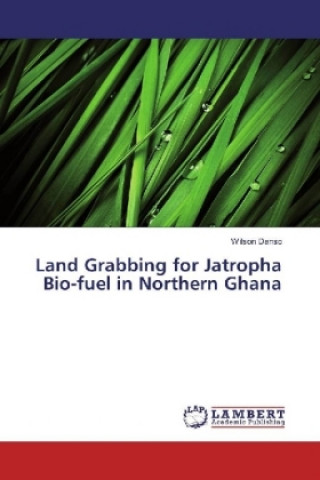 Könyv Land Grabbing for Jatropha Bio-fuel in Northern Ghana Wilson Danso