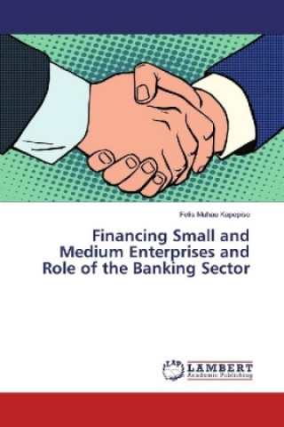 Книга Financing Small and Medium Enterprises and Role of the Banking Sector Felis Muhau Kapepiso