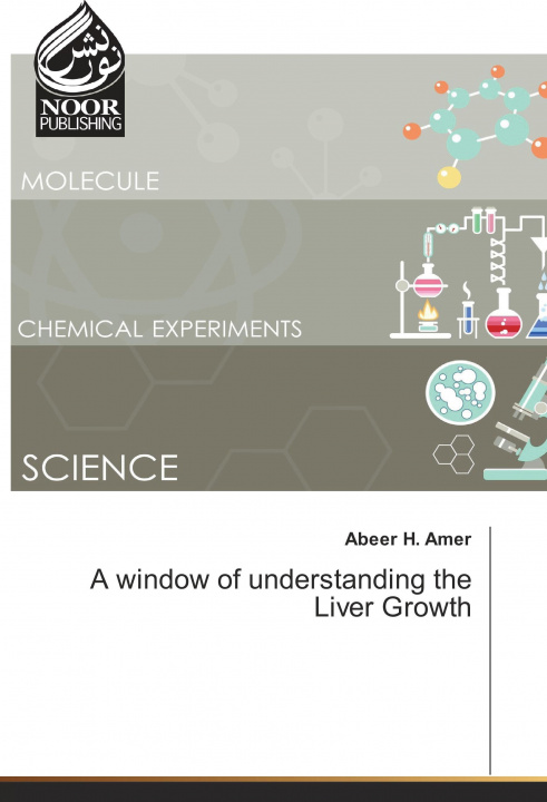 Könyv A window of understanding the Liver Growth Abeer H. Amer