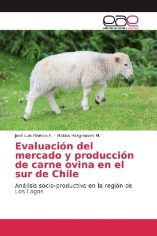 Kniha Evaluación del mercado y producción de carne ovina en el sur de Chile José Luis Riveros F.