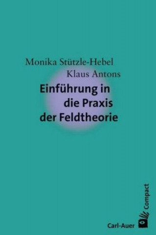 Kniha Einführung in die Praxis der Feldtheorie Monika Stützle-Hebel