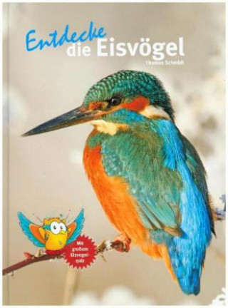 Kniha Entdecke die Eisvögel Thomas Schmidt