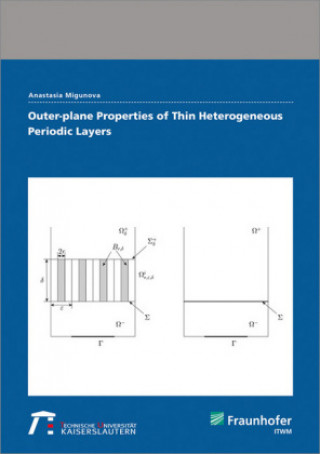 Knjiga Outer-plane Properties of Thin Heterogeneous Periodic Layers. Anastasia Migunova