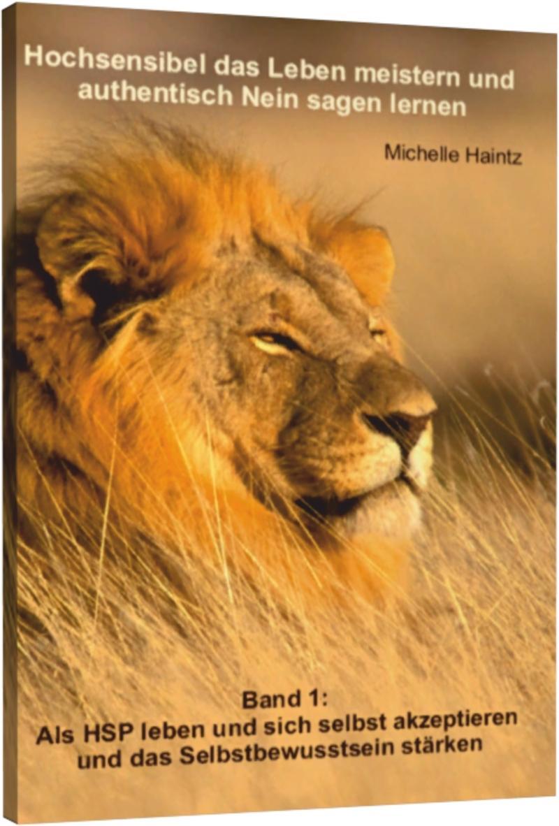 Könyv Hochsensibel das Leben meistern und authentisch "nein" sagen lernen Michelle Haintz