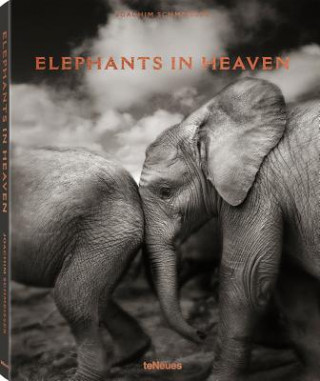 Kniha Elephants in Heaven Joachim Schmeisser