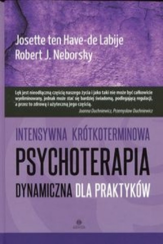 Kniha Intensywna krotkoterminowa psychoterapia dynamiczna dla praktykow Have-De Labije Josette Ten