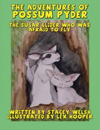 Buch The Adventures of Possum Pyder Stacey Welsh