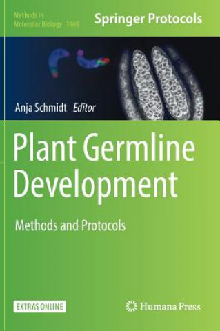 Kniha Plant Germline Development Anja Schmidt