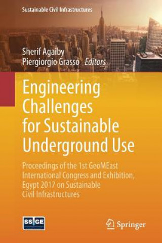 Buch Engineering Challenges for Sustainable Underground Use Sherif Agaiby