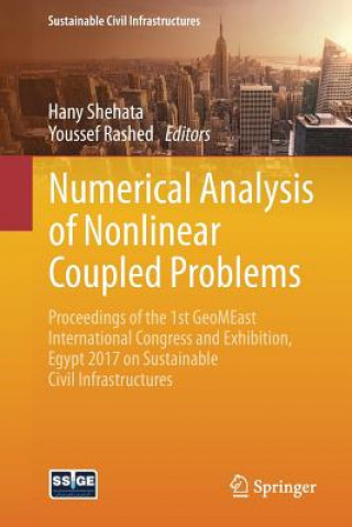 Kniha Numerical Analysis of Nonlinear Coupled Problems Hany Shehata