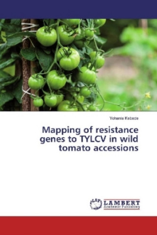 Kniha Mapping of resistance genes to TYLCV in wild tomato accessions Yohanis Kebede