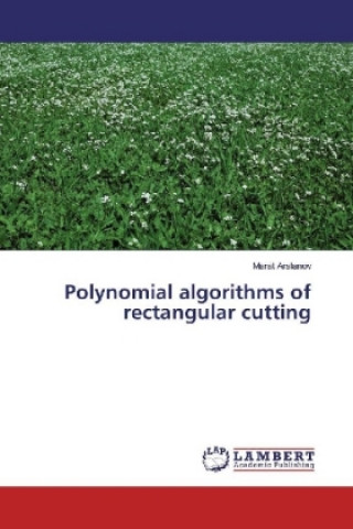 Książka Polynomial algorithms of rectangular cutting Marat Arslanov