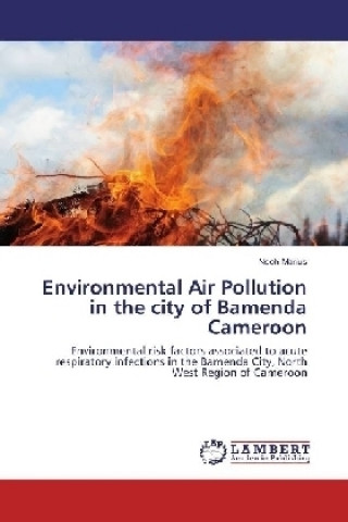 Książka Environmental Air Pollution in the city of Bamenda Cameroon Nsoh Marius