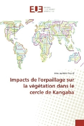 Kniha Impacts de l'orpaillage sur la végétation dans le cercle de Kangaba Moussa Fodé Traoré