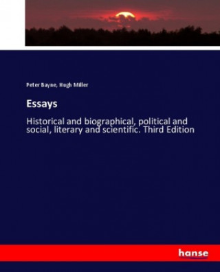 Boek Essays Peter Bayne