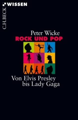Kniha Rock und Pop Peter Wicke
