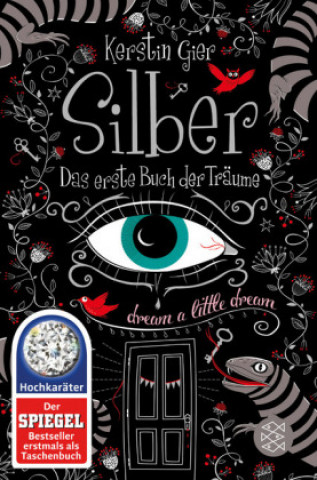 Könyv Silber - Das erste Buch der Träume Kerstin Gier